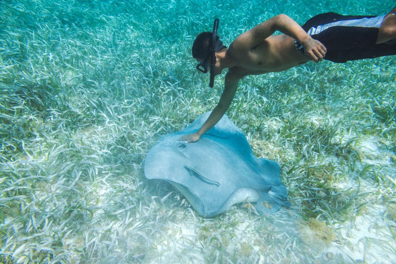 GettyImages-578363061